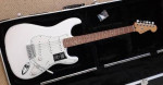 Fender Player Stratocaster w/hsc