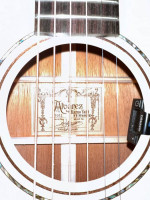 Alvarez FYM60HD Yairi OM