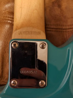 Jackson Surfcaster