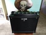 Katana 100 w/ cover also GAFC footswitch