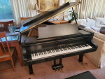 Kawai KG-5C 6'8'' grand piano