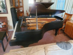 Kawai KG-5C 6'8'' grand piano