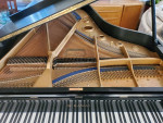 Kawai KG-5C 6'8'' grand piano