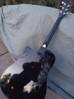 Rogue dreadnaught electric/ acoustic