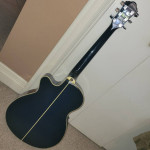 Ibanez AEG10-TBS-3R-01 Acoustic/Electric Guitar w/Extras