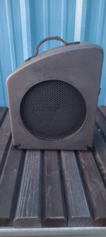 custom 10" speaker cab