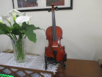 Violin  , violins