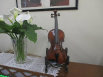 Violin  , violins