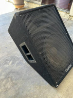 Carvin powered floor monitor