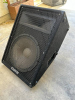 Carvin powered floor monitor