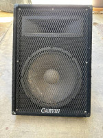 Carvin powered floor monitor