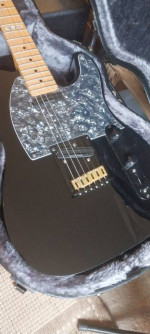 LTD by ESP TE 212 w/ SD "Hot Rails" + HSC