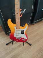 Fender Stratocaster players plus
