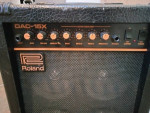 Roland DAC15x guitar amp