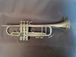 Trumpet and other  vintage horns for sale