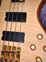Schecter Diamond Series CUSTOM-4 Bass