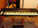 Casio digital piano
