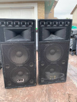 Vintage speakers