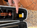 3/4 Violine Knilling Bucharest