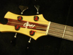 Vintage Tobias Bass Guitar