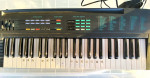 Yamaha PSR-6 Keyboard plus books