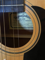 SIGMA ACOUSTIC GUITAR DM-1 by C.F. Martin