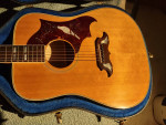 Gibson Dove Acoustic Guitar