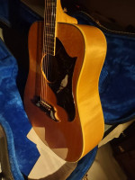 Gibson Dove Acoustic Guitar