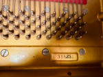1981 Petrof 5.8” Grand piano