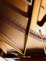 1981 Petrof 5.8” Grand piano