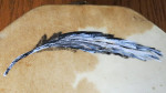 Double Sided Buffalo Hide Medicine Drum - Hand Painted