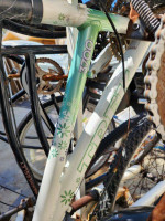 4 BIKES TREK SCHWINN PANTHER