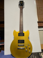 Yamaha SG 500B