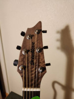 Breedlove Oregon Concert LTD Edition