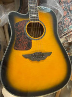 Brazilian Wood Keith Urban Guitar W/Power Amp