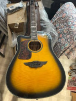 Brazilian Wood Keith Urban Guitar W/Power Amp