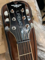 Brazilian Wood Keith Urban Guitar W/Power Amp