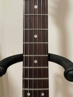 Telecaster Thinline - Double-Bound Quilted Maple with Bigsby B5