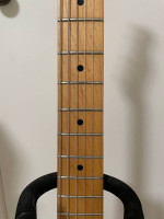 Fender Telecaster Partscaster - Butterscotch