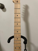 Telecaster Deluxe Partscaster w/ Tremolo