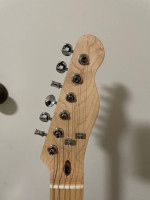 Telecaster Deluxe Partscaster w/ Tremolo