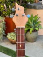 John Feraggio 3-string Electric Cigar Box Guitar