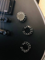 LTD ec-256 upgraded EMG pickups
