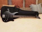 Washburn Bass