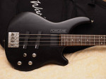 Washburn Bass