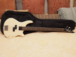 Washburn Bass