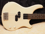 Washburn Bass