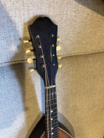 Vintage mandolin