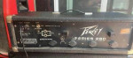 Peavey Standard 260