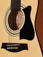 3/4 Ibanez acoustic guitar, bag